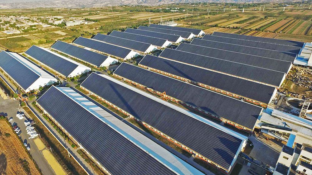 �����ϸ硤(�й�)���ֲ��ٷ���վ