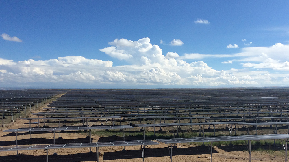 �����ϸ硤(�й�)���ֲ��ٷ���վ